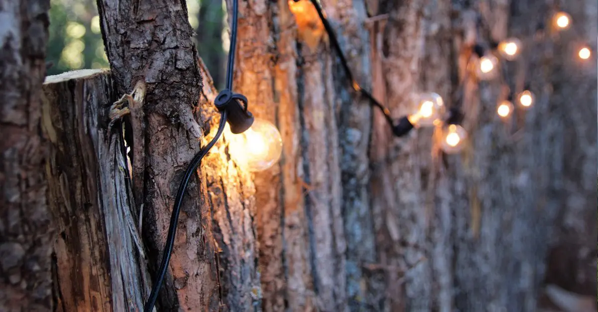5 Benefits of Lighting Up Your Landscape